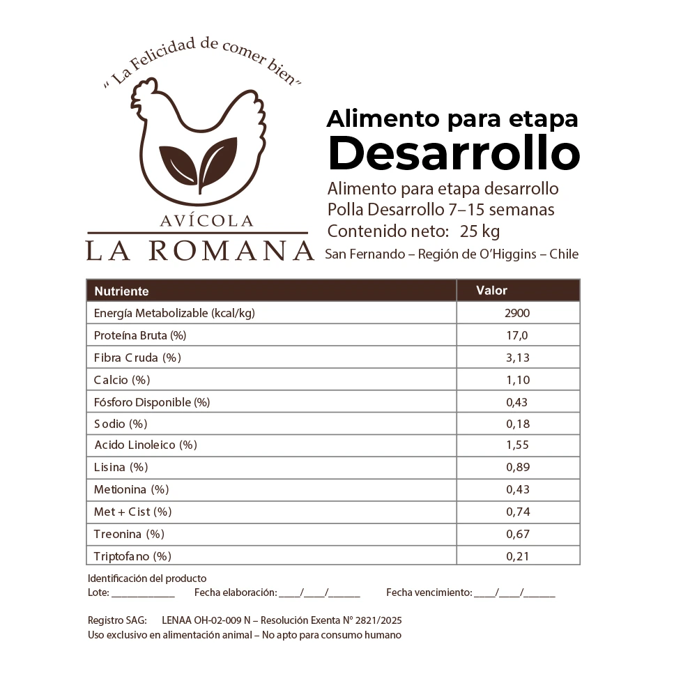 ALMENTO ETAPA DESARROLLO: imagen 2
